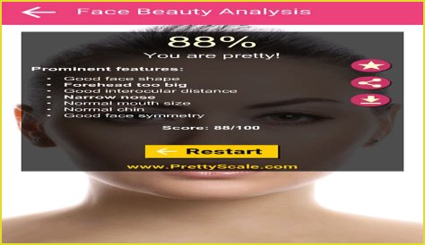 Discovering The Allure Of Prettyscale: A Journey Through Beauty Metrics